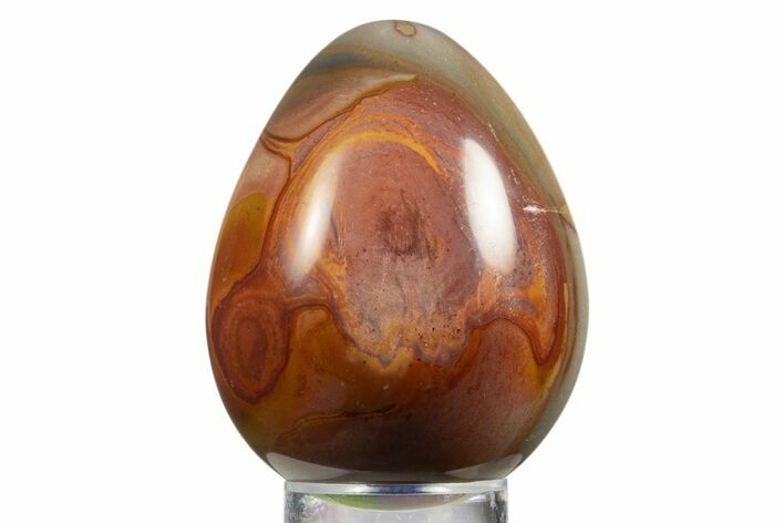 Polished Polychrome Jasper Egg - Madagascar #331733